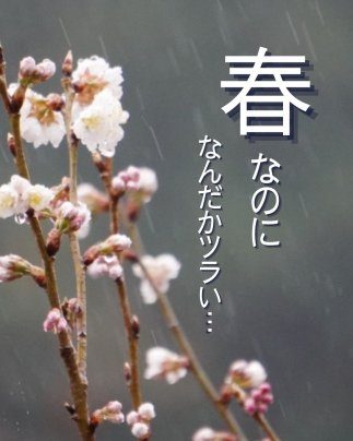 春なのに…疲れ・不調・イライラ?40代女性に急増する“春バテ”