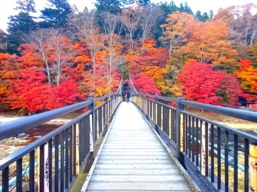 更年期や自律神経の乱れに◎運動不足解消!紅葉ウォーキングで代謝アップ
