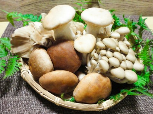 更年期の不調・自律神経の乱れに◎免疫力を高める“きのこ習慣”で心も体も温めよう