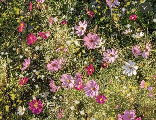 イタズラ秋風に参っていませんか❓