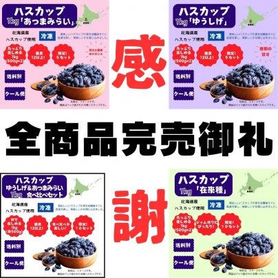 感謝・御礼：全商品完売！