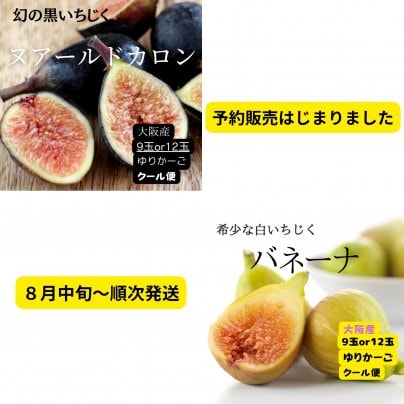 いちじく予約販売はじまりました