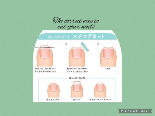 爪の切り方!