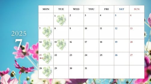 7月のスケジュール