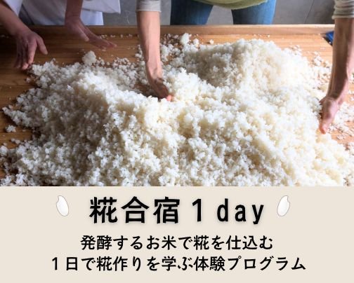 7月12日(土)10時〜糀合宿1day ファミリア亀有にて開催!