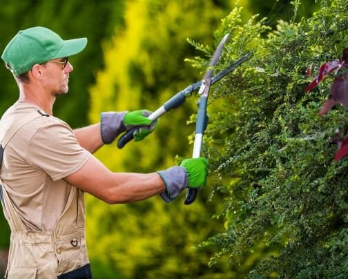 草むしり・剪定・草刈り