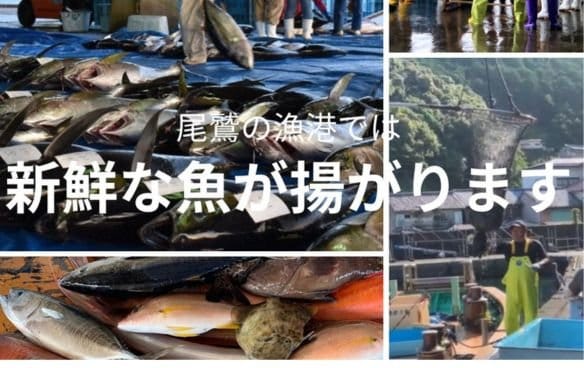 地元の魚にこだわってます