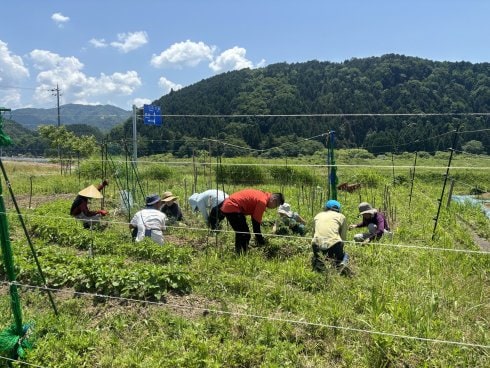 ~地産地消~