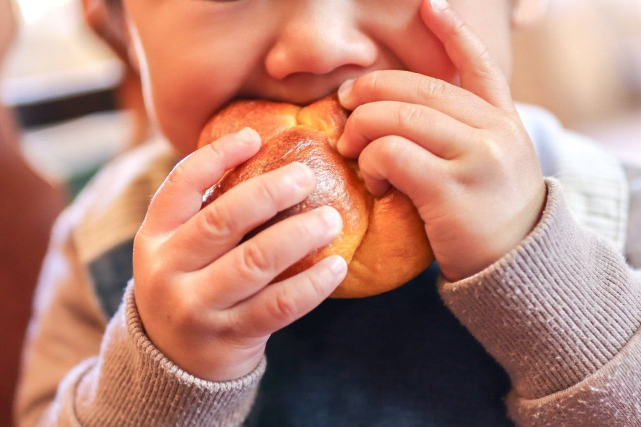 自家製酵母と薪窯焼きのパン~緑と風のダーシェンカ~