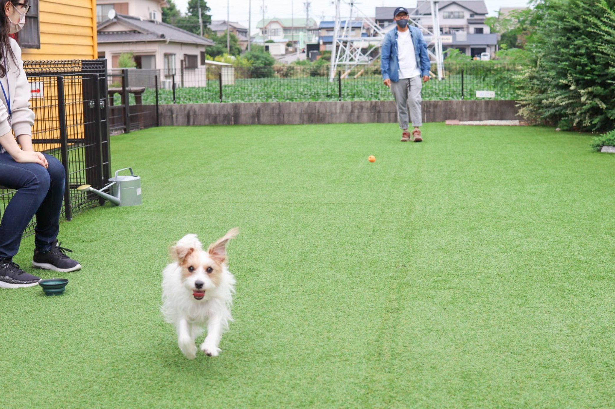 自家製酵母と薪窯焼きのパン~緑と風のダーシェンカ~