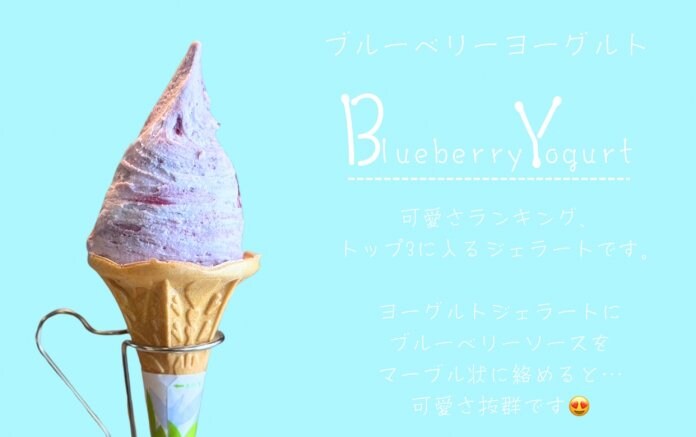 ブルーベリーヨーグルトジェラート