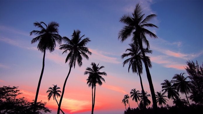 当店自慢の夕陽
