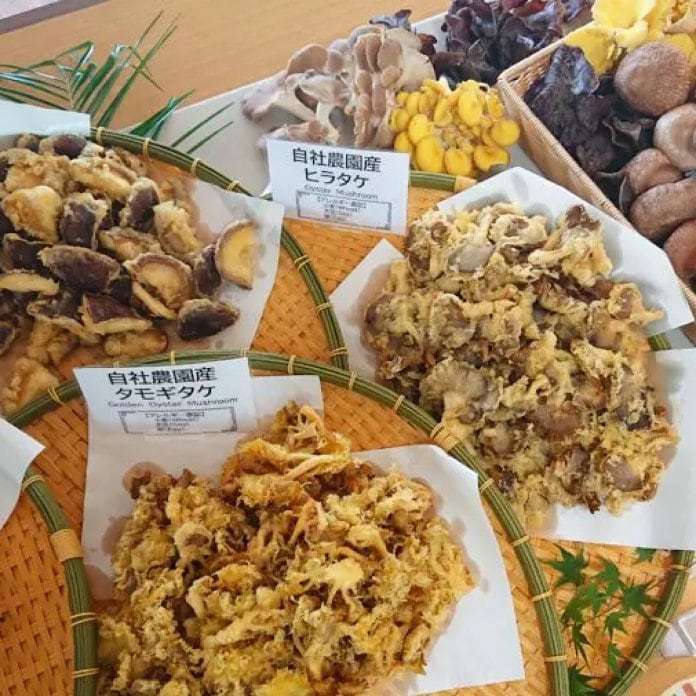 大阿蘇レストラン