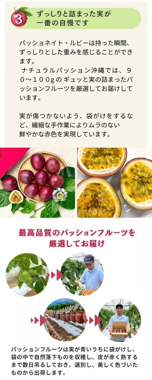 Natural Passion 沖縄（ナチュラルパッションオキナワ