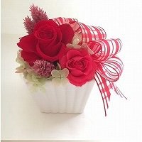 <レッド>チェックリボンスクエアアレンジ☆高さ16cmケース付【送料・消費税込】お花 プリザーブドフラワー プレゼント ギフト お誕生日 お祝い アークロスマルシェ