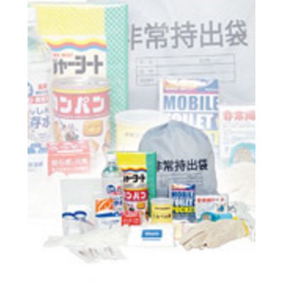 リング 非常時お助け防災セット【22点】 1 セット 5000 円