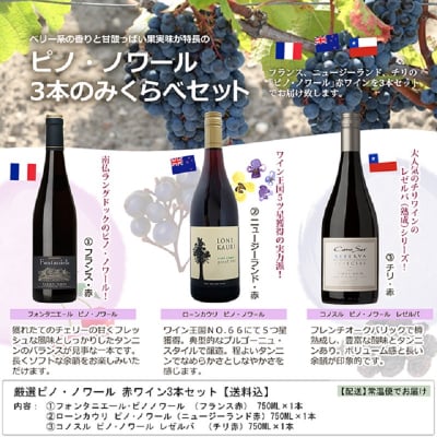 厳選ピノ・ノワール 赤ワイン3本セット