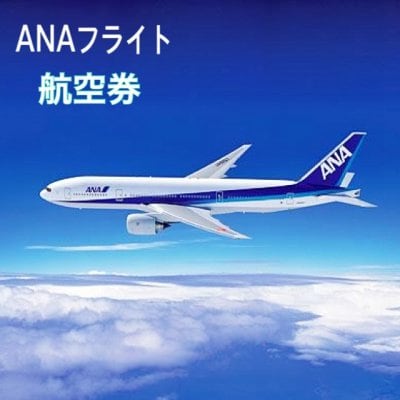 ANAフライトパック☆鳥取-羽田往復