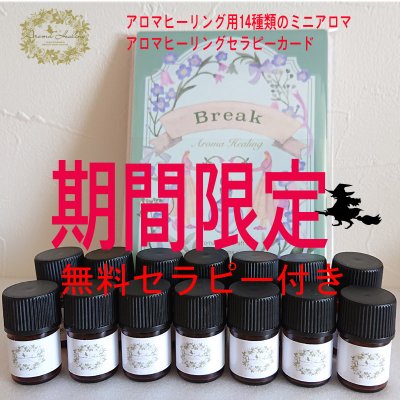 【期間限定】無料セラピー付き|アロマヒーリング セラピー用 14種アロマ(オーガニック精油)ミニ 各1mlと アロマヒーリングセラピーカード セット 夢を叶えるアロ魔術アロマヒーリング®︎|自己セラピー|アロ魔女