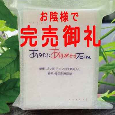 あなたにありがとう 石けん(100g) アーユルヴェーダで優秀なものとして使われる 蜂蜜、ゴマ油、アンマロク果実入り 無香料 無着色