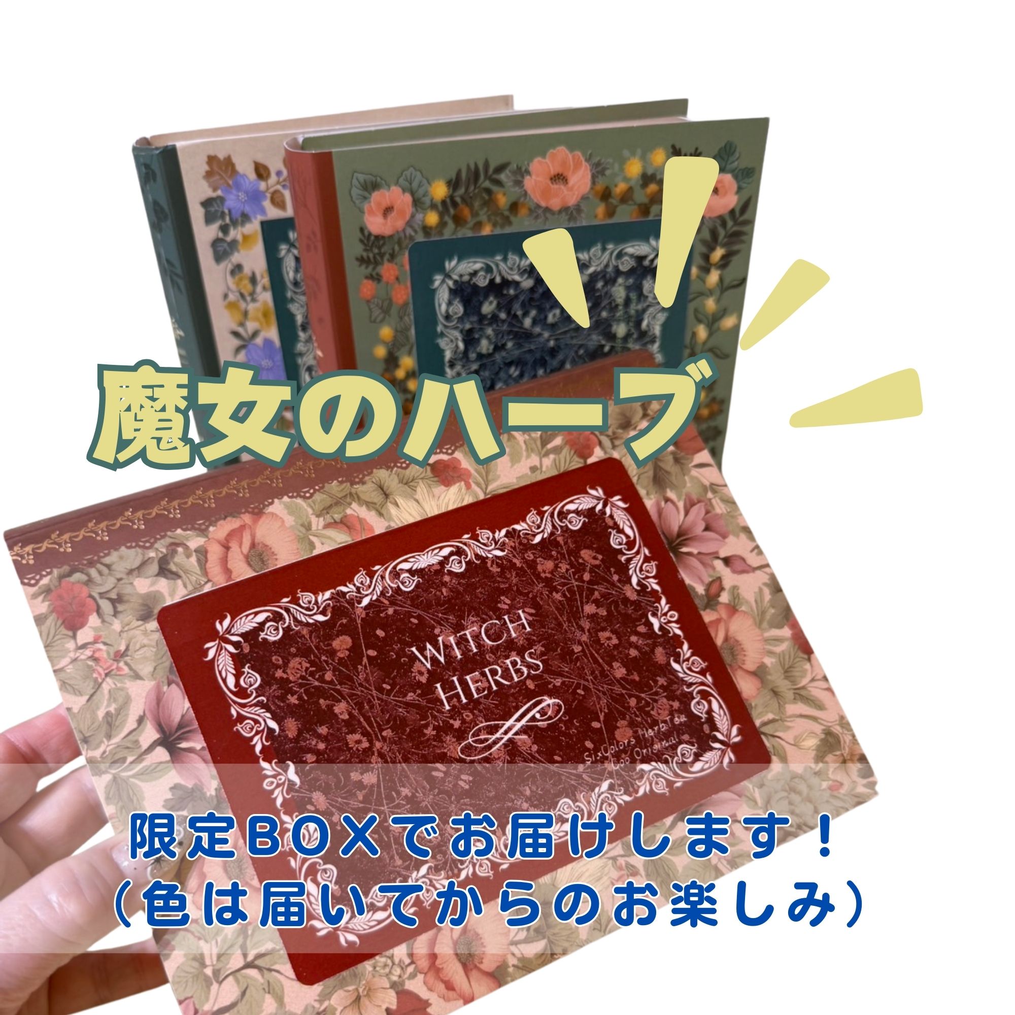 限定BOX】ブレンドSセット用ハーブティー｜6色のカラフルハーブティー