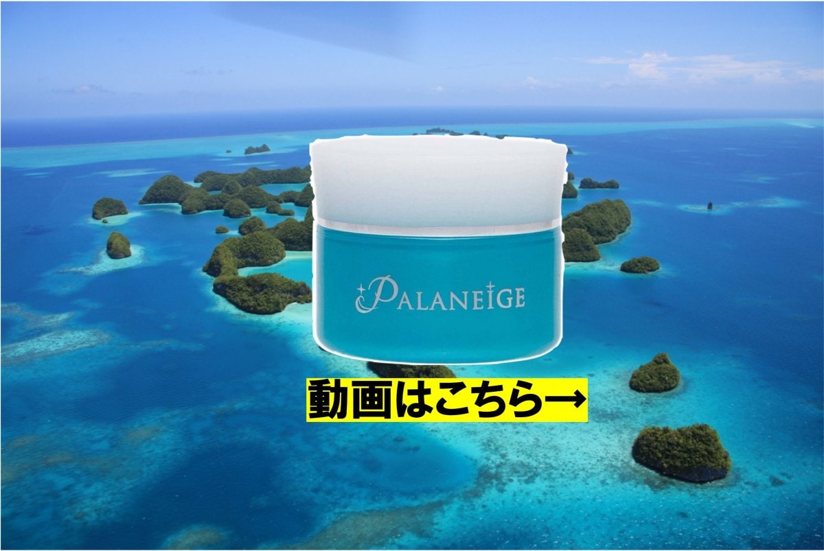 パラネージュ （ Palaneige ）天然由来成分「パラオホワイトクレイパック」-医薬部外品 (55g)