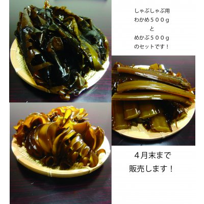 2018年4月 荒波牡蠣漁師のしゃぶしゃぶ用葉わかめ500g+めかぶ500gのセット!