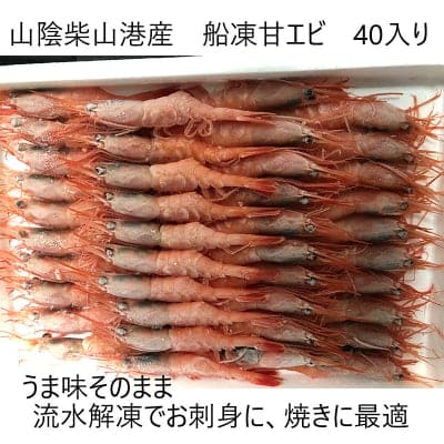 山陰柴山港産新鮮船凍甘エビ40入り