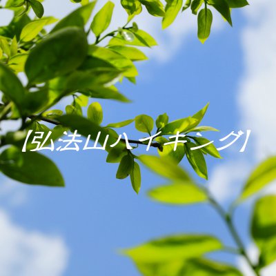 ツクツク!!通販