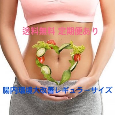 【送料無料】リセットフローラ腸内環境大改善 ベーシックパックカウンセリング付き