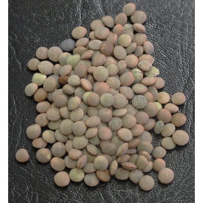 レンズ豆　レンテハ　スペイン産　1kg　LENTEJA PARDINA