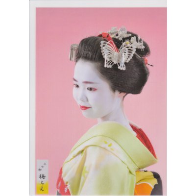 舞妓クリアファイル3枚セット〜梅ちえ〜
