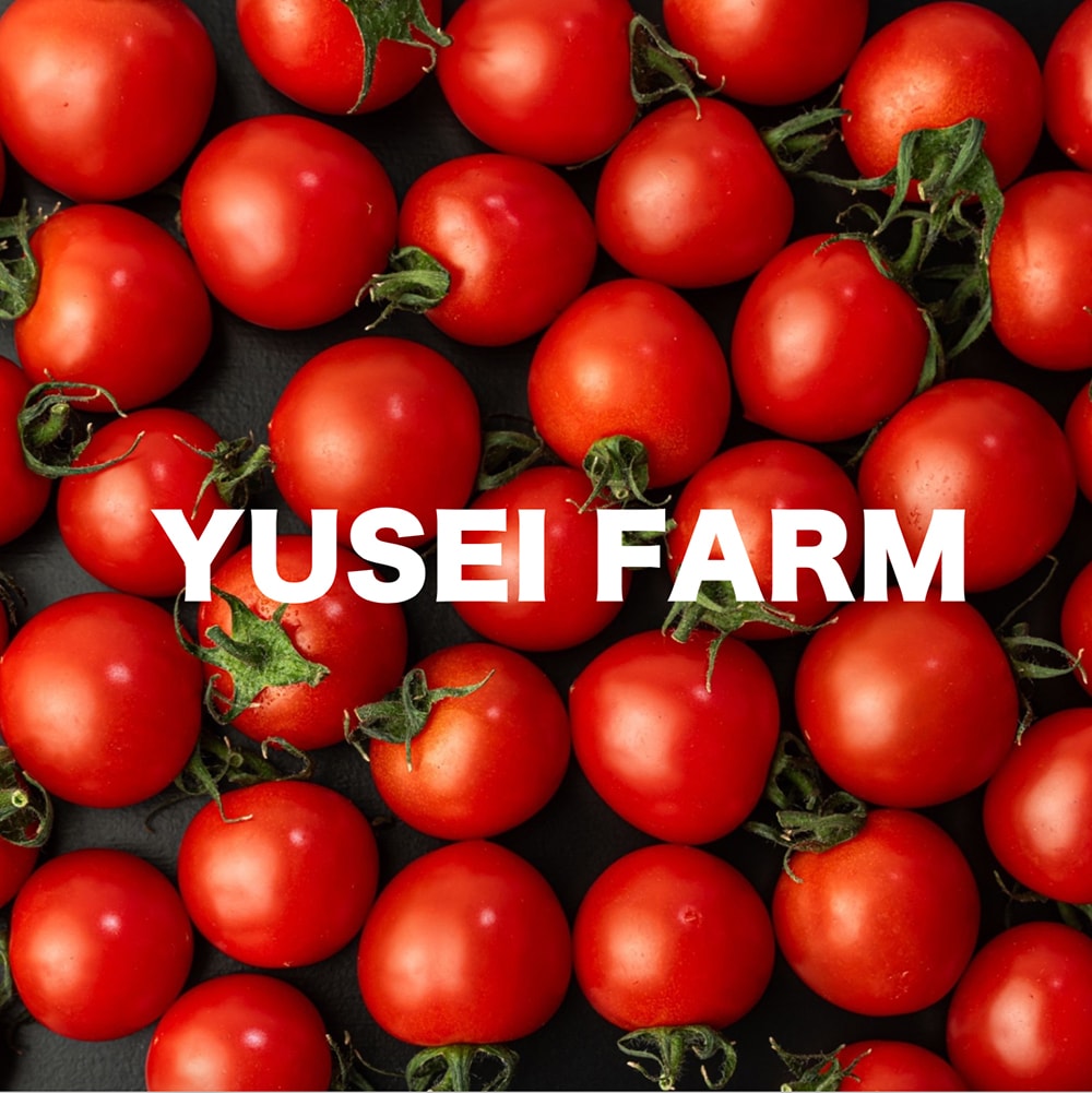 シーム トップメイト 5,000個 新品未開封　農具費　トマト栽培 商品紹介】トップメイト｜有限会社シーム