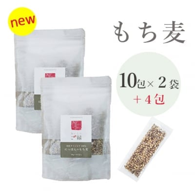 【送料無料】もち麦国産ダイシモチ18g×10包入 2袋セット【発売記念増量】にっぽんのもち麦