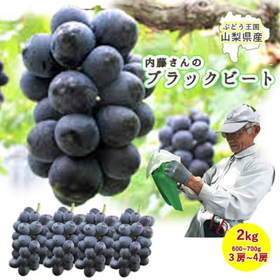 【送料無料】内藤さんのブラックビート秀品2kg