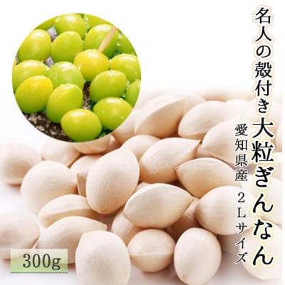 【送料無料】名人のもっちり殻付き大粒ぎんなん300g