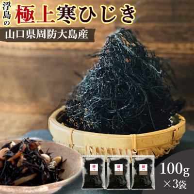 【送料無料】国産天然最高級品 浮島の極上寒ひじき 100g×3袋