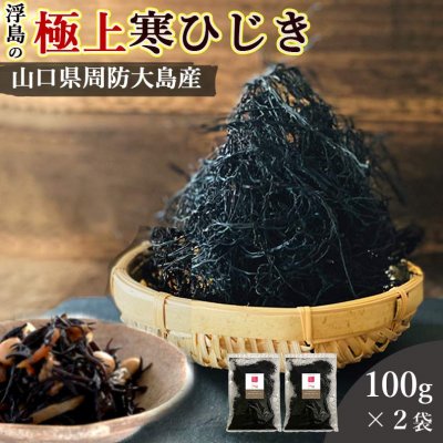 【送料無料】国産天然最高級品 浮島の極上寒ひじき 100g×2袋