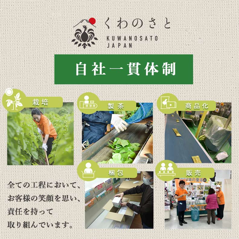 桑×玄米】スティック10包・ハンさんのおいしいくわ茶
