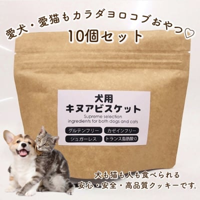 犬(猫)用キヌアビスケット10個セット(スティックタイプ)/グルテンフリー・カゼインフリー・シュガーレス・トランス脂肪酸0・アレルゲンフリー‼︎