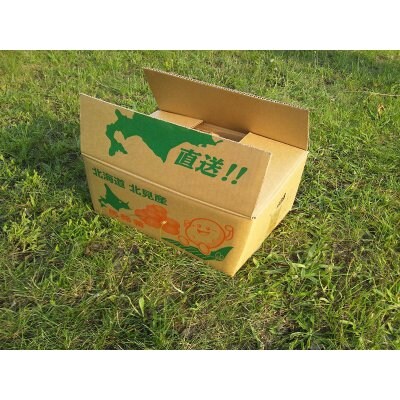 北海道インカのめざめ(イモ)10kg/今年もおいしい北海道じゃがいもがとれました!! じゃがいもの中でも一番味が濃厚です!