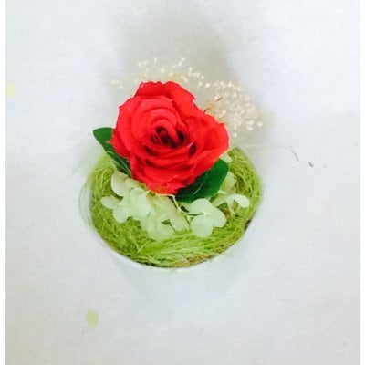 アンベイス