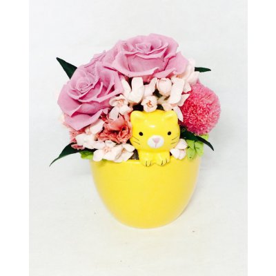 お花畑からネコちゃん