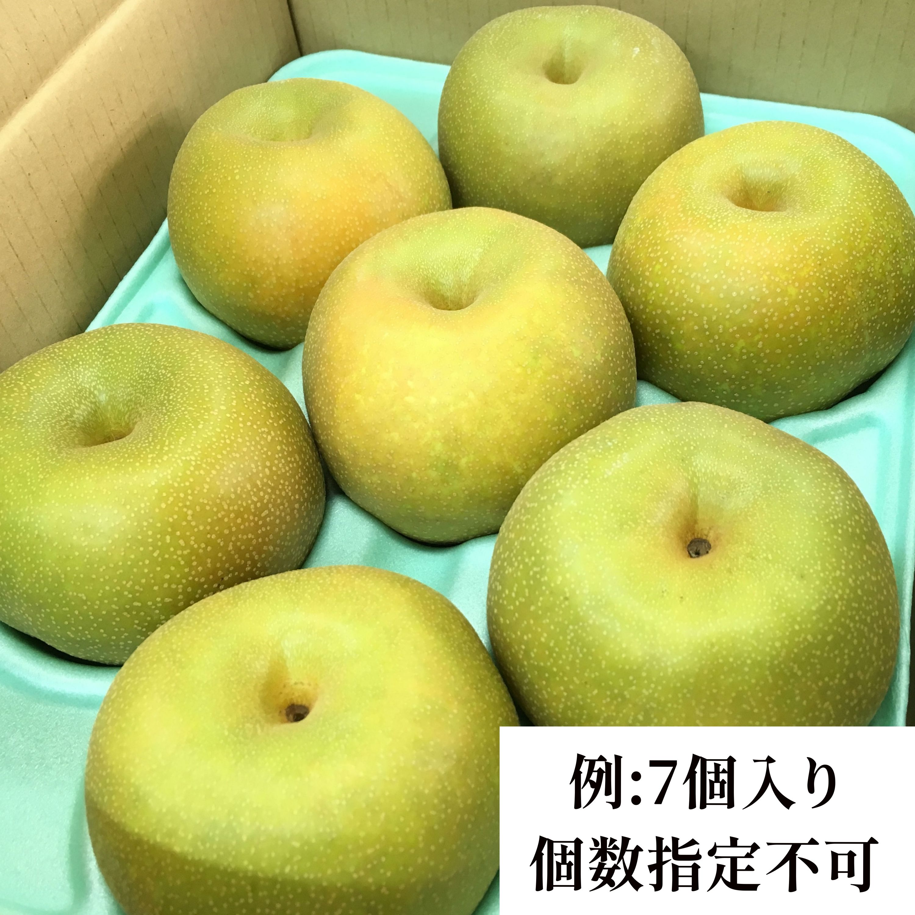 HaRu　幸水　梨 楽天市場】埼玉県 ハウス栽培のブランド梨 常光のなし 温室幸