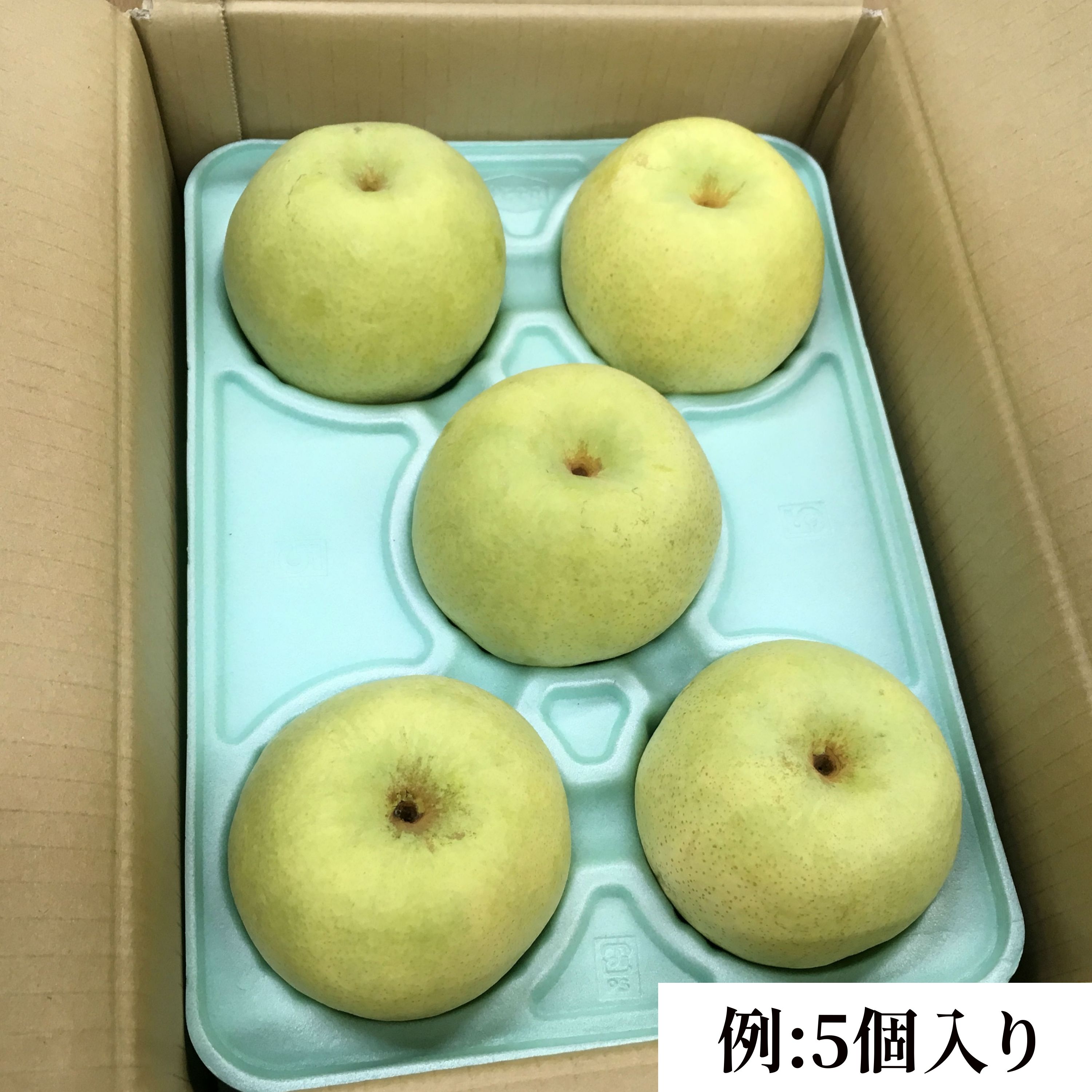 予約】かおり｜約3㎏｜ご贈答用｜送料込み（沖縄県を除く）