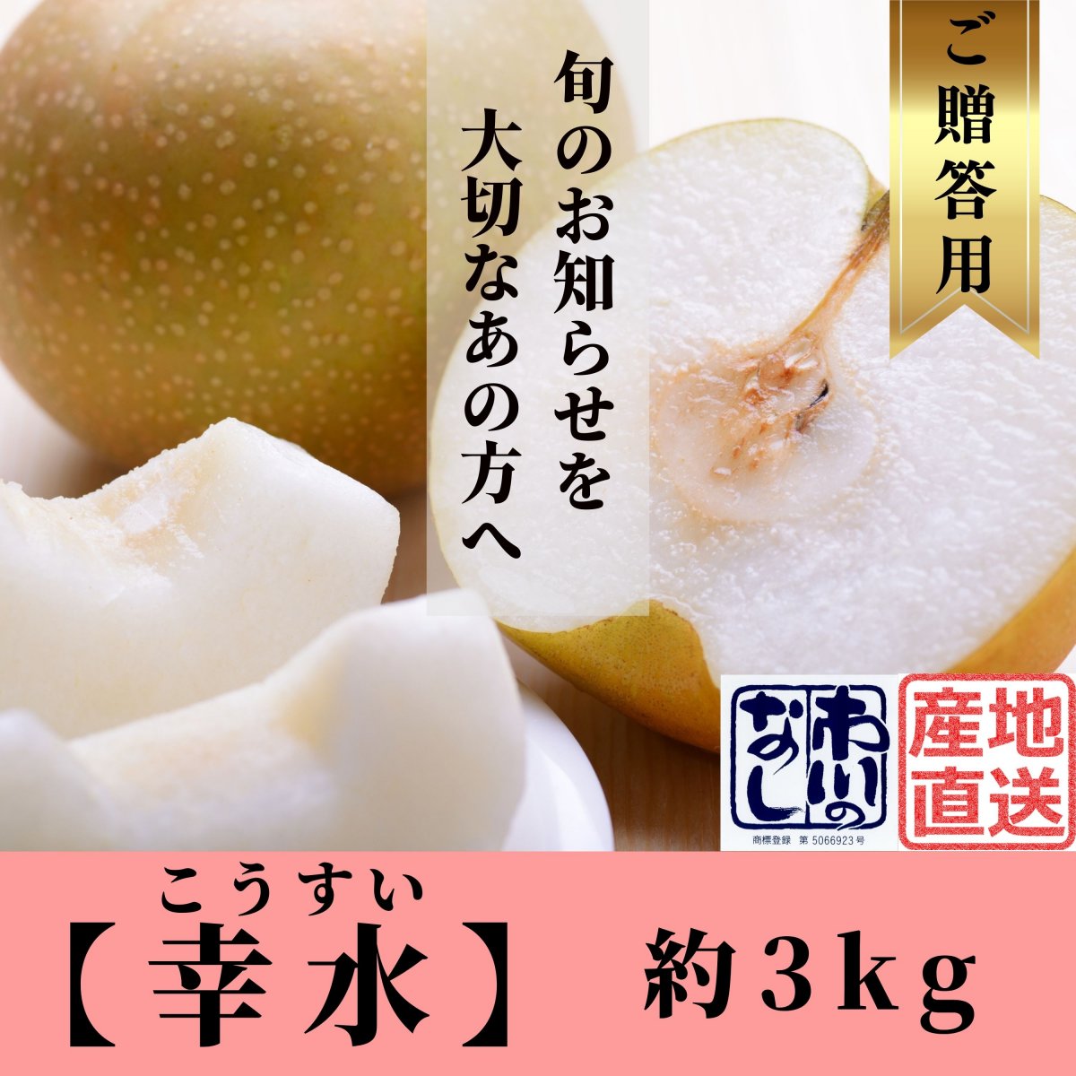 特集商品画像