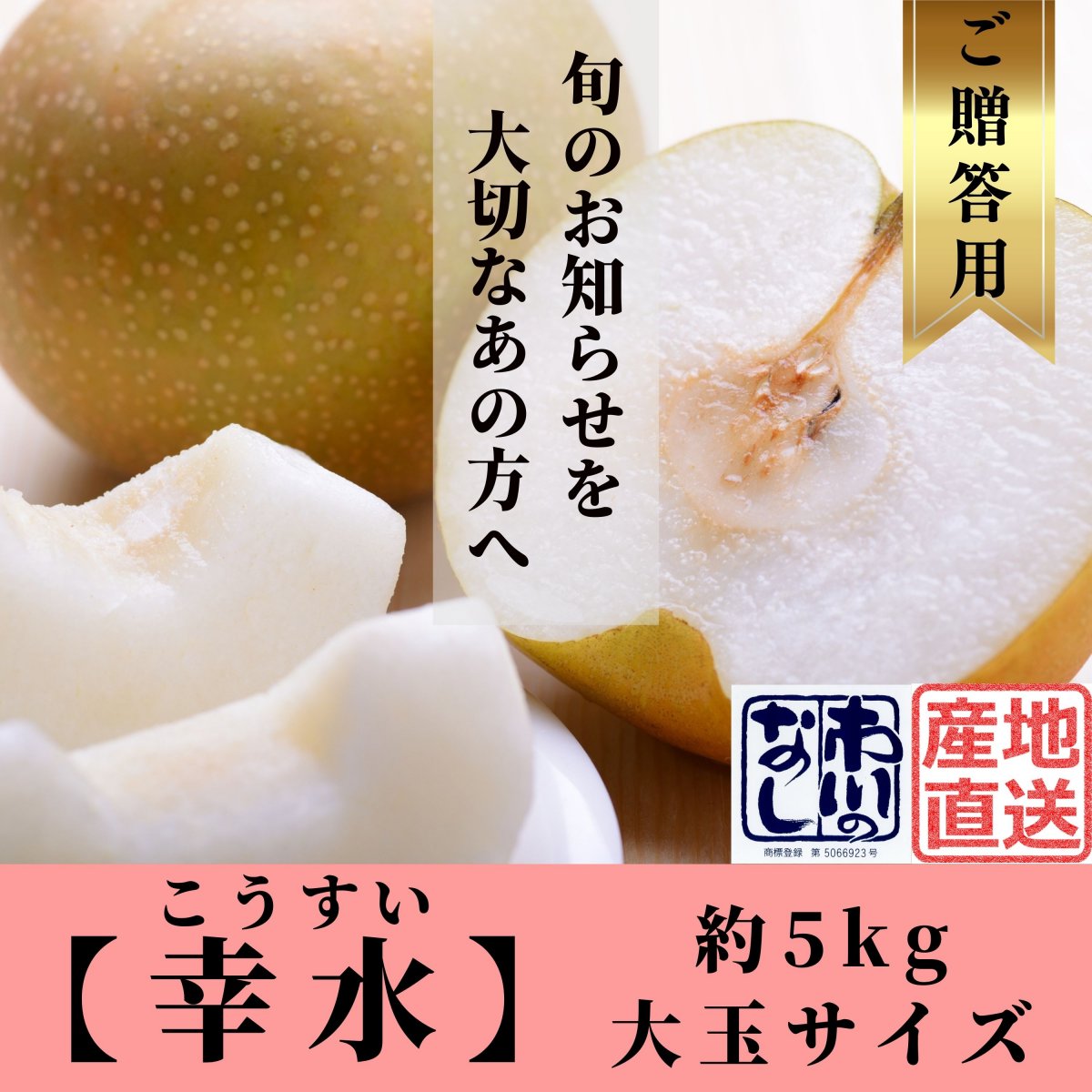 特集商品画像