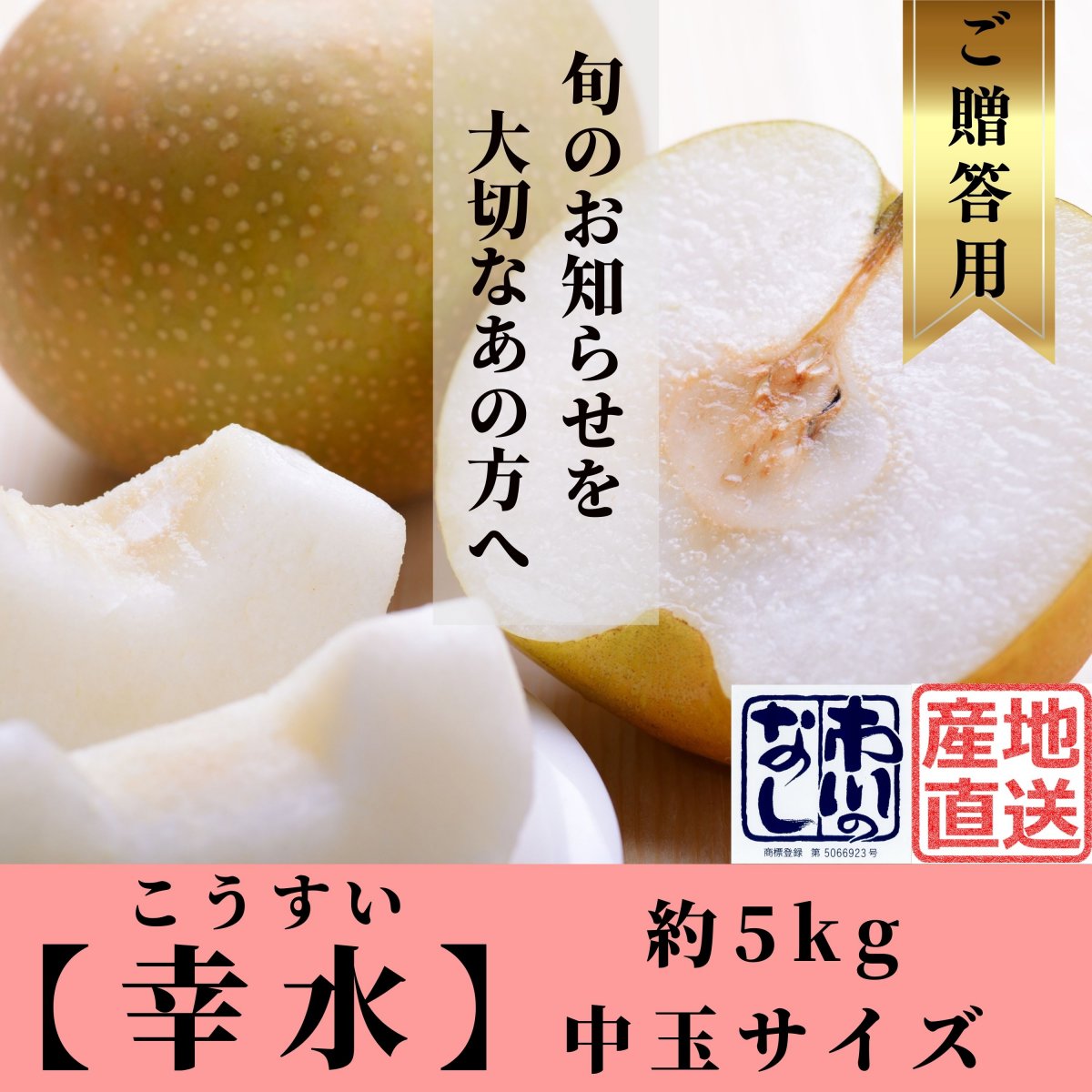 特集商品画像