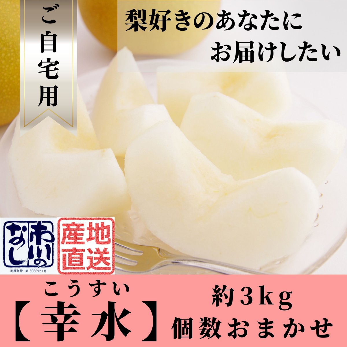 特集商品画像