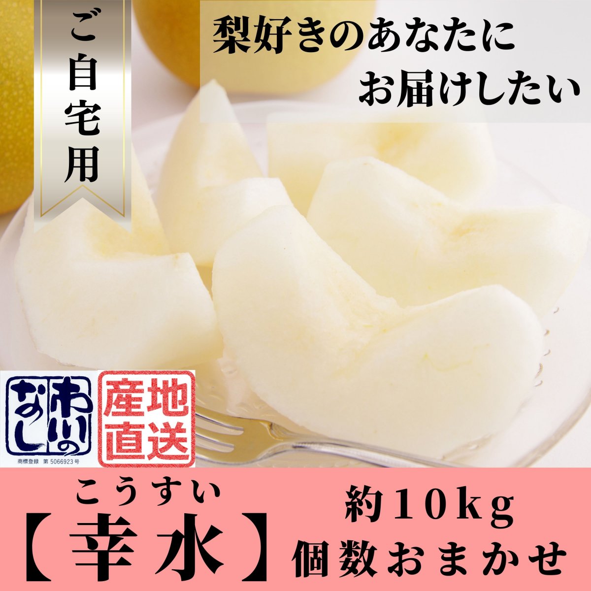 特集商品画像